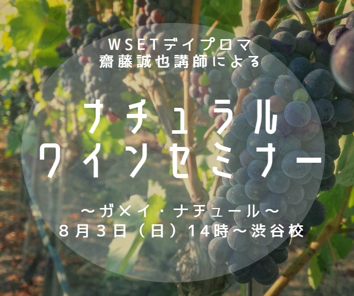 Diploma齊藤誠也講師によるナチュラルワインセミナー「ガメイ・ナチュール」