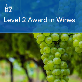 【秋開講】 WSET®Level 2 Award in Wines