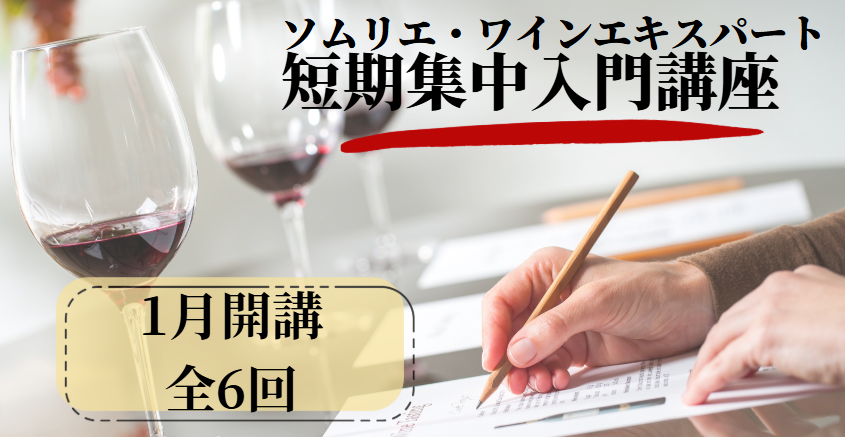 【短期集中】2025年度　ソムリエ・ワインエキスパート受験対策 入門講座（全6回）