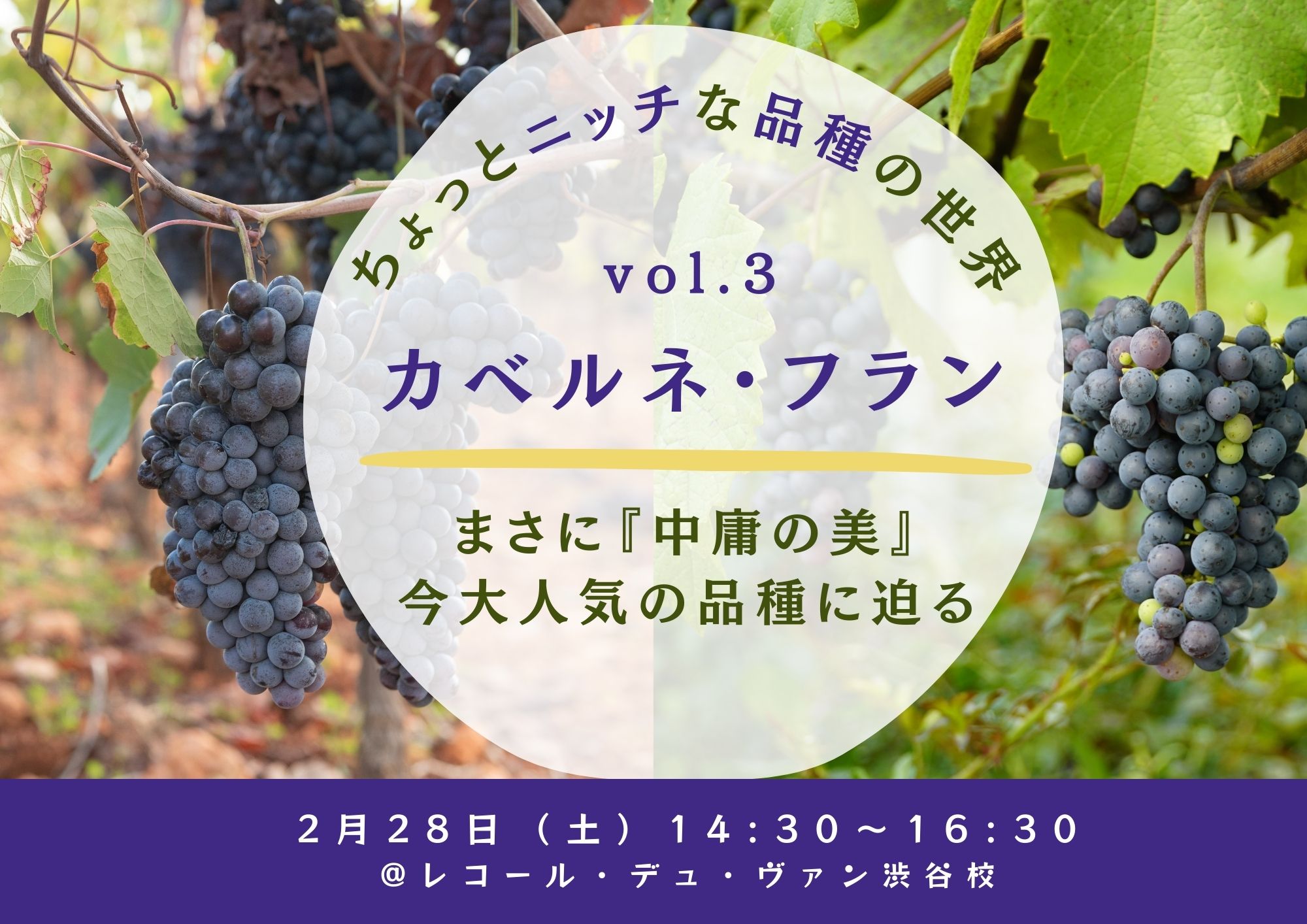 ちょっとニッチな品種の世界 vol.3　『カベルネ・フラン』 ～まさに "中庸の美" 今大人気の品種に迫る～