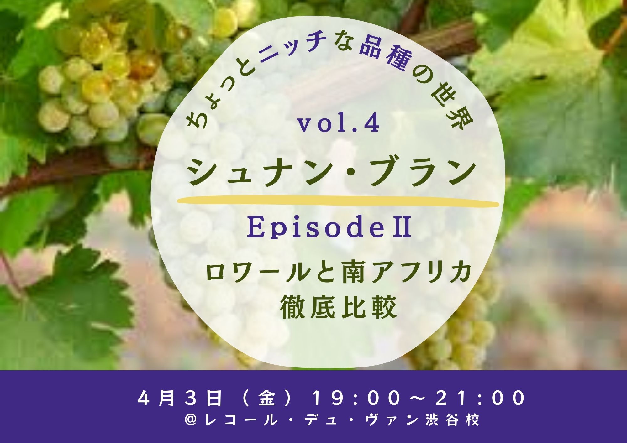 ちょっとニッチな品種の世界 vol.4　『シュナン・ブラン　EpsodeⅡ』 ～ロワールと南アフリカ徹底比較～