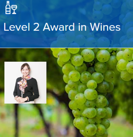 【25年度1月開講】 WSET®Level 2 Award in Wines（隔週開催クラス）