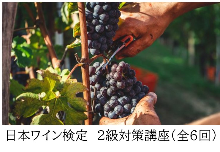 日本ワイン検定　2級対策講座（3級認定付）
