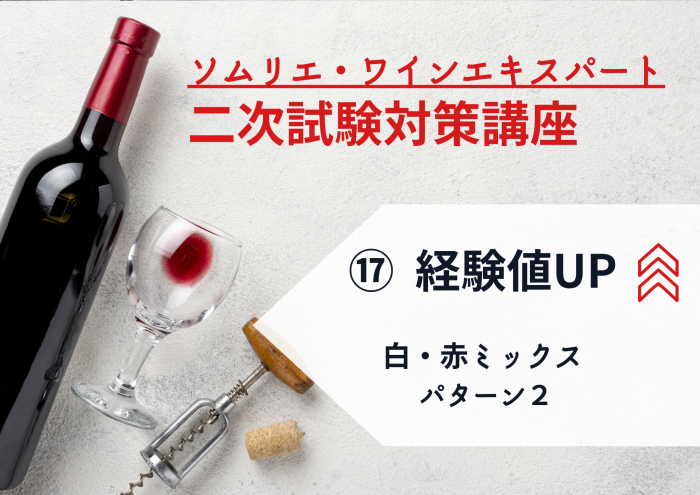 2025年度　ワイン二次⑰【経験値UP！】白・赤MIX　パターン②　ワイン6種