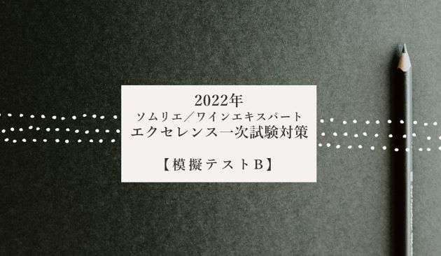 2022年　エクセレンス一次試験対策【模擬テスト B】