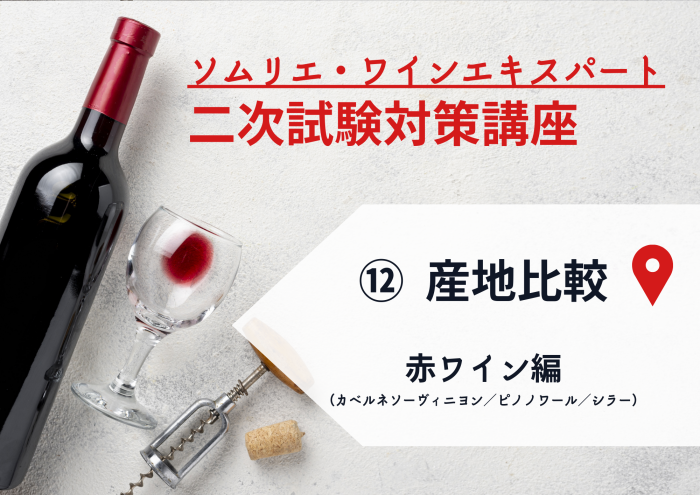 23ワイン二次⑫【産地比較】赤ワイン編（カベルネソーヴィニヨン/ピノノワール/シラー）