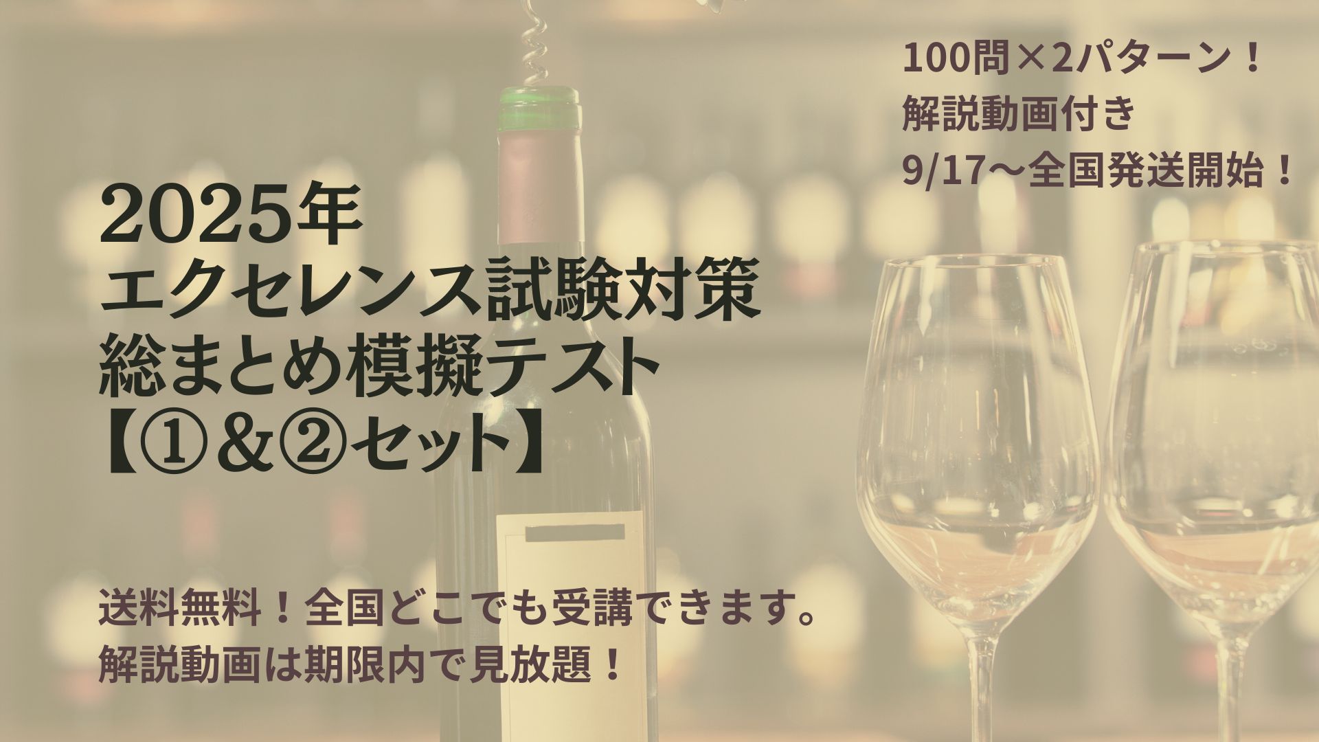 2025年　エクセレンス一次試験対策【総まとめ模擬テスト①②セット】（100問×2パターン／動画解説付き）