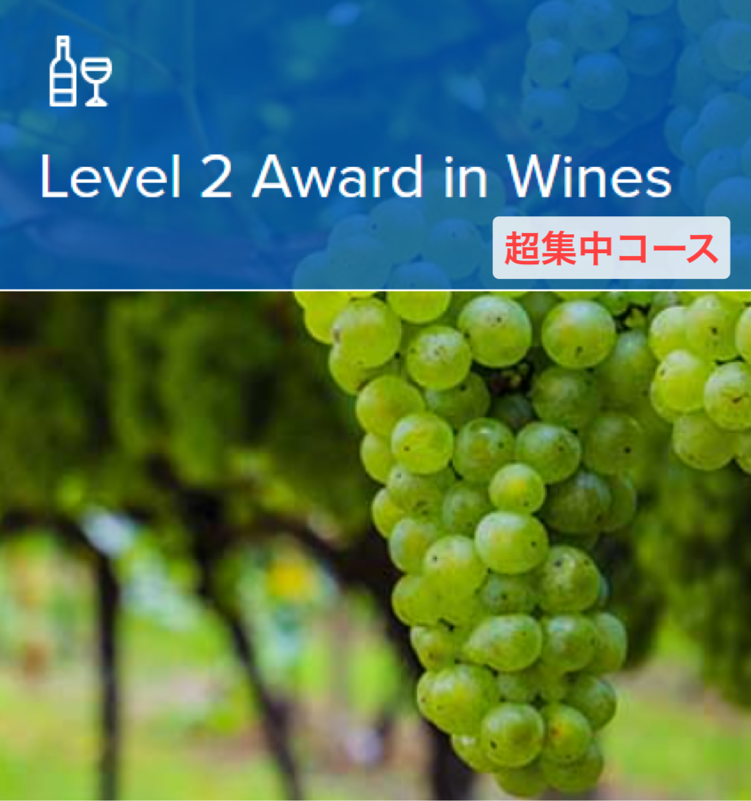 【25年度2月開講】 WSET®Level 2 Award in Wines　超集中コース