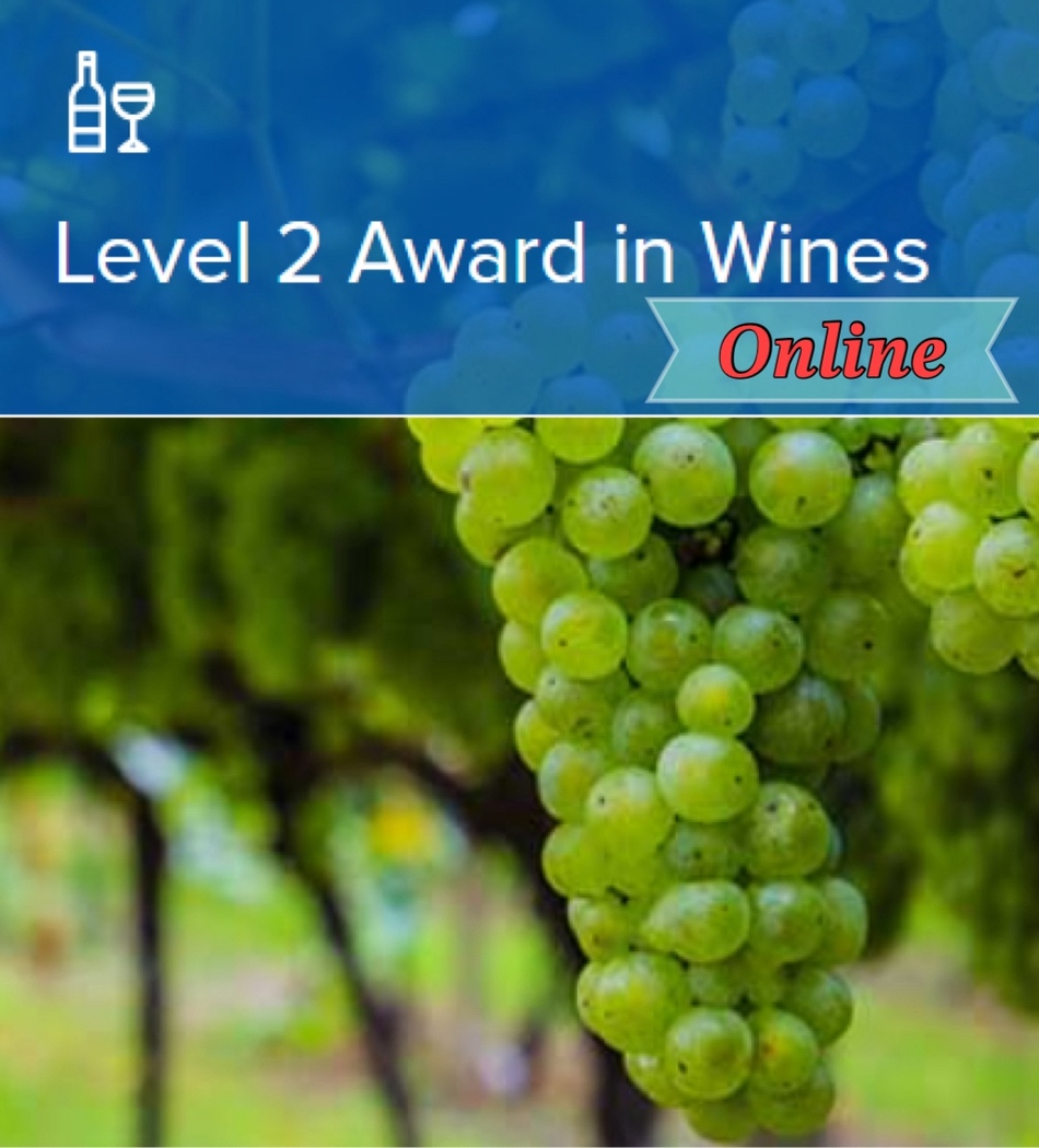 【26年4月開講】WSET®Level 2 Award in Wines オンラインクラス