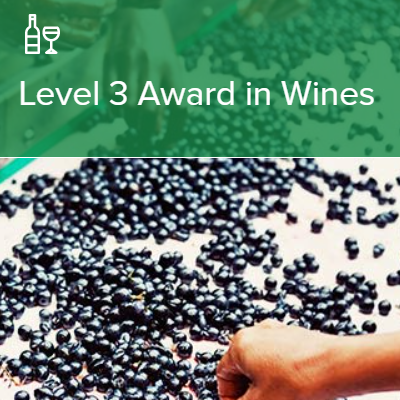 【秋開講】 WSET®Level 3 Award in Wines
