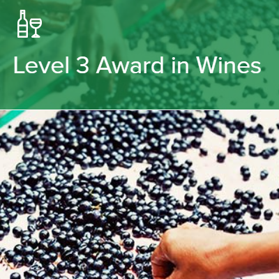 【24年度12月開講】 WSET®Level 3 Award in Wines