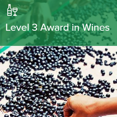 【25年10月開講】WSET®Level 3 Award in Wines