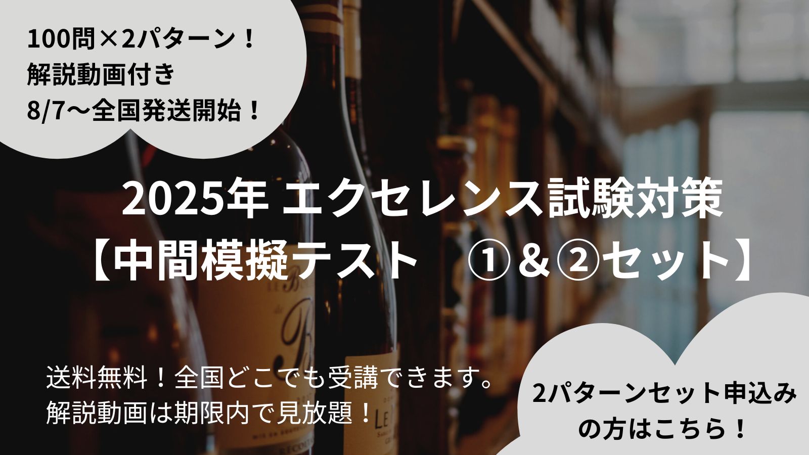 2025年　エクセレンス試験対策【中間模擬テスト①②セット】（100問×2パターン／動画解説付き）